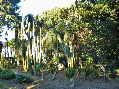 Parque Genoves Botanical Gardens, Cadiz, Spain