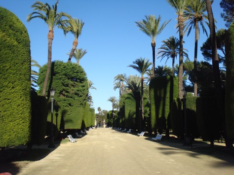 Parque Genoves Botanical Gardens, Cadiz, Spain