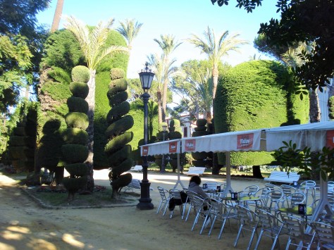 Parque Genoves Botanical Gardens, Cadiz, Spain