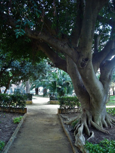 Parque Genoves Botanical Gardens, Cadiz, Spain
