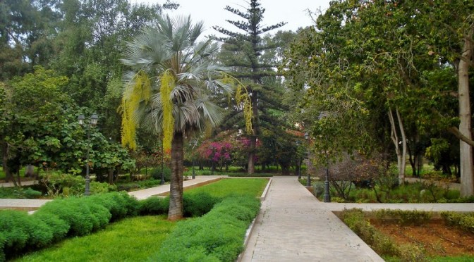 The Jardins d’Essais: Rabat’s Historic Botanical Gardens, Part I