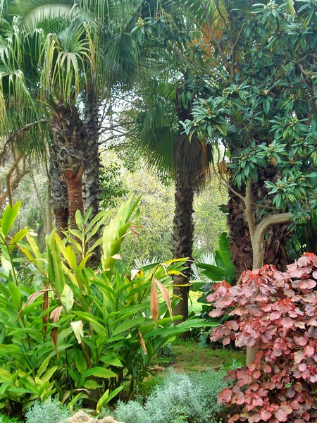 Jardins d'Essais, Botanical Gardens, Rabat, Morocco