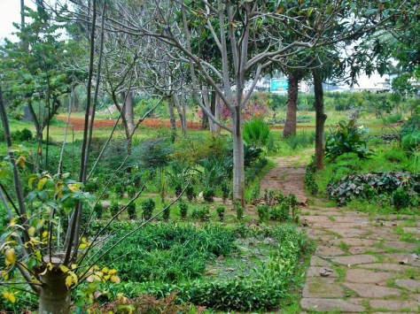 Jardins d'Essais, Botanical Gardens, Rabat, Morocco