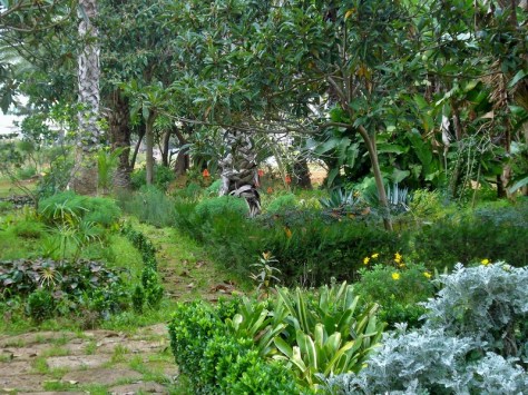 Jardins d'Essais, Botanical Gardens, Rabat, Morocco