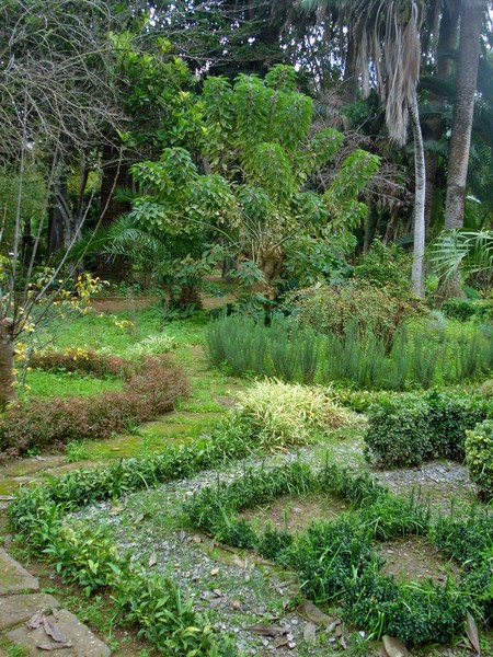 Jardins d'Essais, Botanical Gardens, Rabat, Morocco