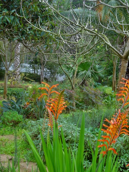 Jardins d'Essais, Botanical Gardens, Rabat, Morocco