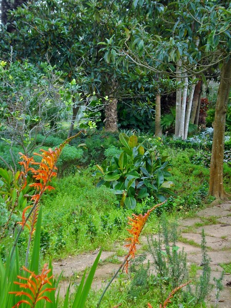 Jardins d'Essais, Botanical Gardens, Rabat, Morocco