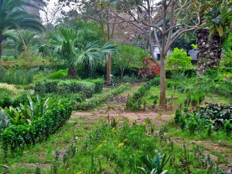 Jardins d'Essais, Botanical Gardens, Rabat, Morocco