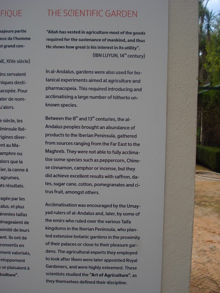 Jardins d'Essais, Botanical Gardens, Rabat, Morocco