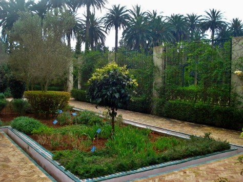Jardins d'Essais, Botanical Gardens, Rabat, Morocco