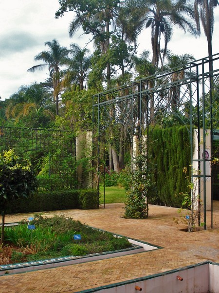 Jardins d'Essais, Botanical Gardens, Rabat, Morocco
