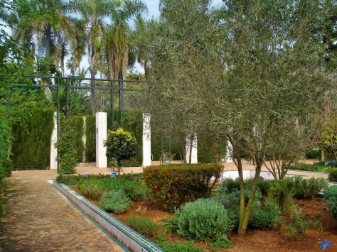 Jardins d'Essais, Botanical Gardens, Rabat, Morocco
