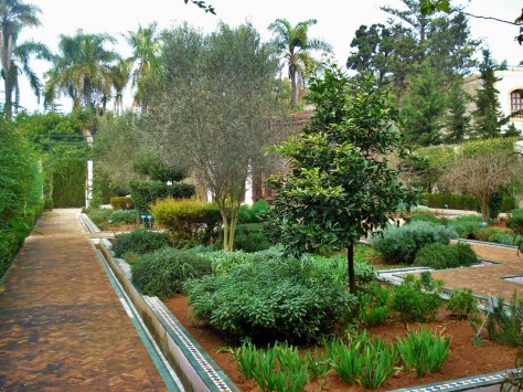 Jardins d'Essais, Botanical Gardens, Rabat, Morocco