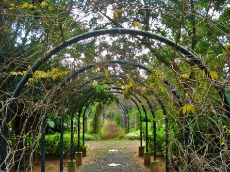 Jardins d'Essais, Botanical Gardens, Rabat, Morocco