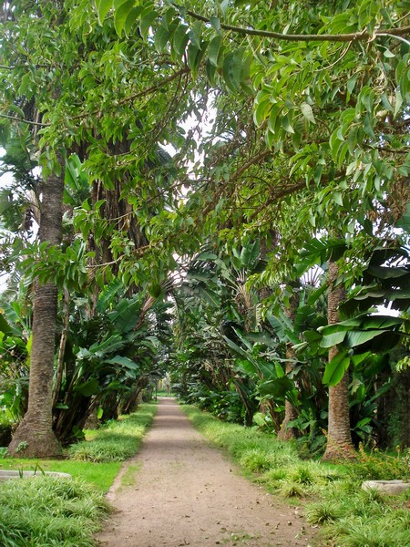 Jardins d'Essais, Botanical Gardens, Rabat, Morocco