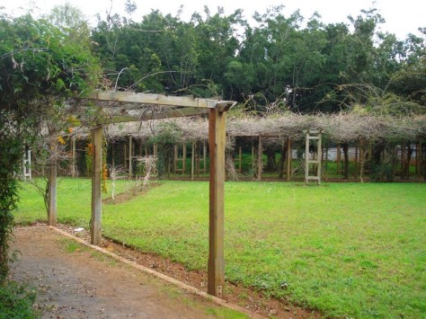 Morocco, Rabat, Jardins d'Essais, Botanical Gardens