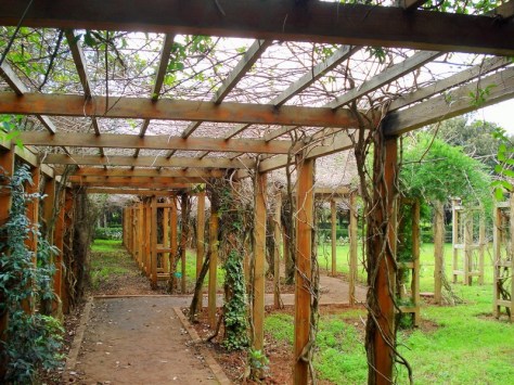 Morocco, Rabat, Jardins d'Essais, Botanical Gardens