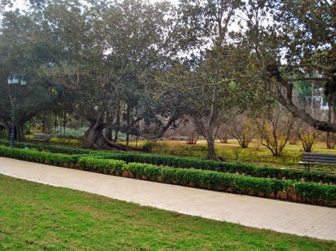 Morocco, Rabat, Jardins d'Essais, Botanical Gardens