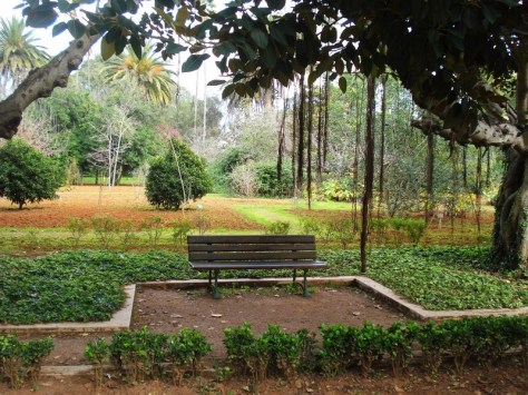 Morocco, Rabat, Jardins d'Essais, Botanical Gardens