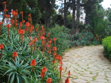 Morocco, Rabat, Jardins d'Essais, Botanical Gardens
