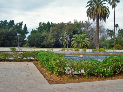Morocco, Rabat, Jardins d'Essais, Botanical Gardens
