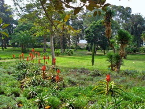 Morocco, Rabat, Jardins d'Essais, Botanical Gardens
