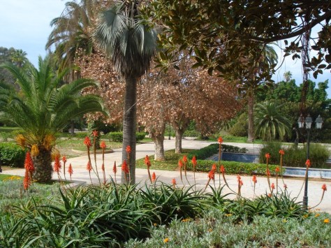 Morocco, Rabat, Jardins d'Essais, Botanical Gardens