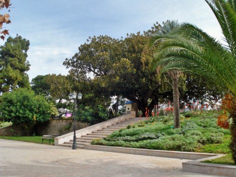 Morocco, Rabat, Jardins d'Essais, Botanical Gardens