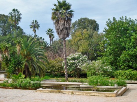 Morocco, Rabat, Jardins d'Essais, Botanical Gardens