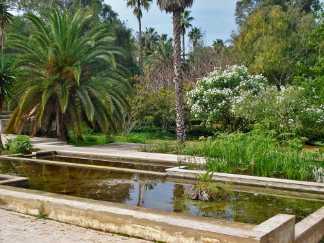 Morocco, Rabat, Jardins d'Essais, Botanical Gardens