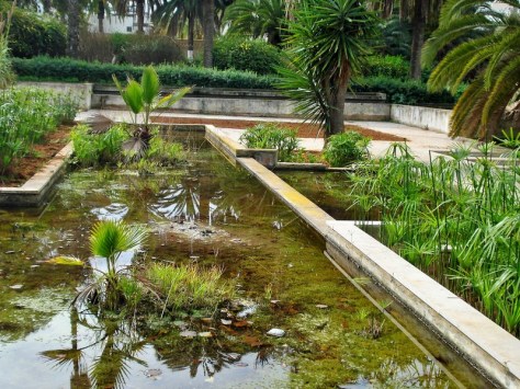 Morocco, Rabat, Jardins d'Essais, Botanical Gardens