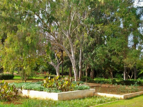 Morocco, Rabat, Jardins d'Essais, Botanical Gardens