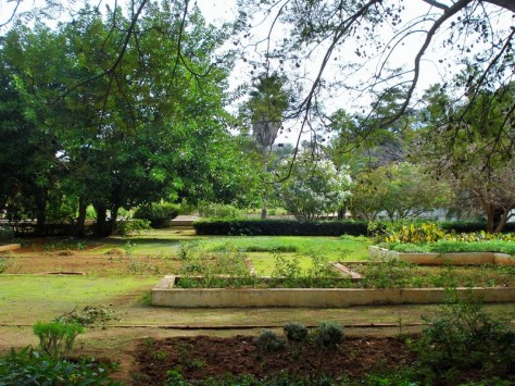 Morocco, Rabat, Jardins d'Essais, Botanical Gardens