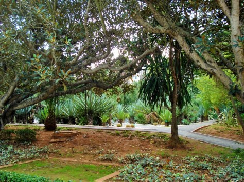 Morocco, Rabat, Jardins d'Essais, Botanical Gardens
