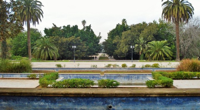 The Jardins d’Essais: Rabat’s Historic Botanical Gardens, Part III, Vines, Fruit Trees and Palms